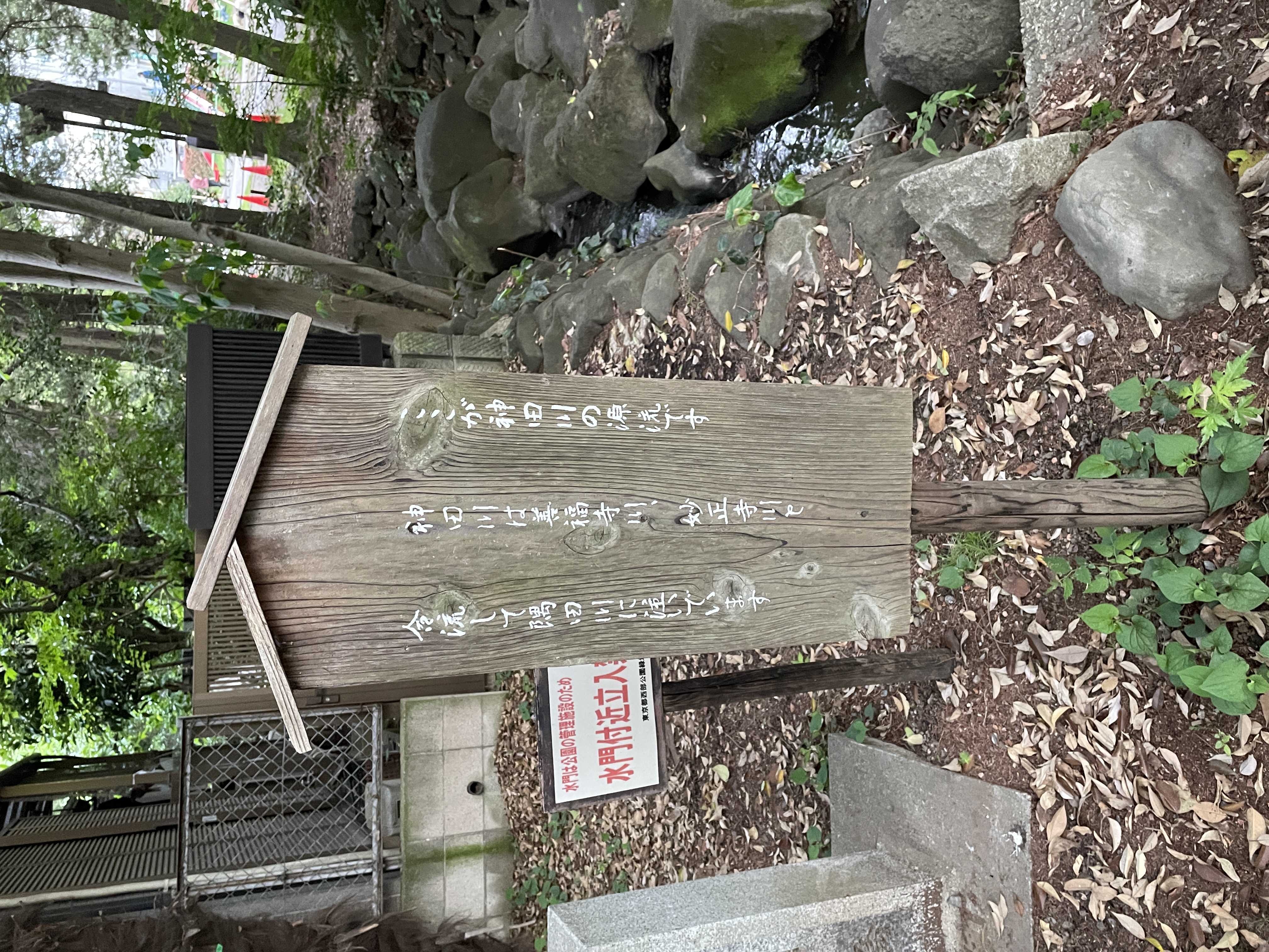 井之頭公園の神田川源流